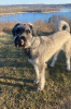 tiere_fritz01_1